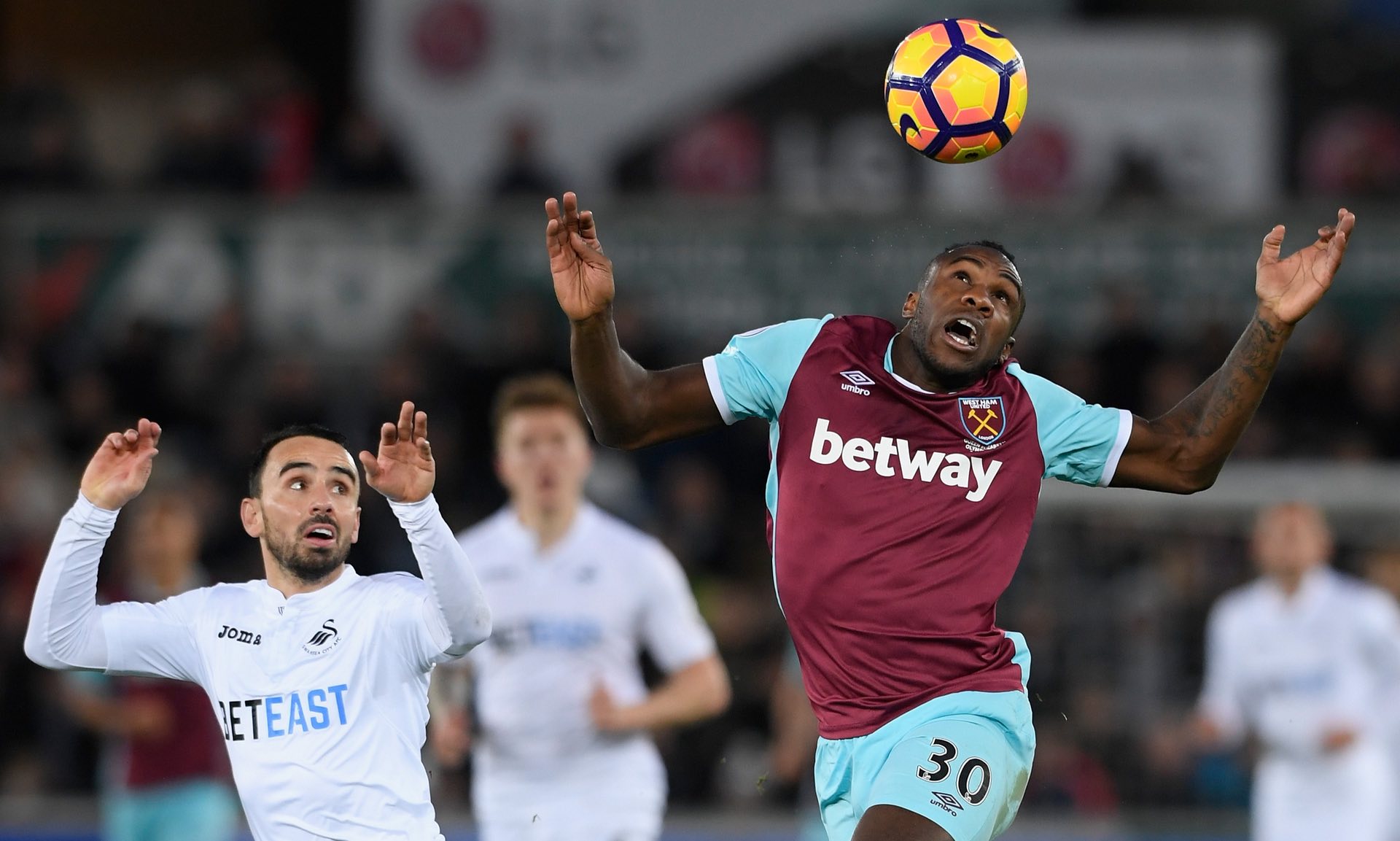 与争冠一样 与争冠一样