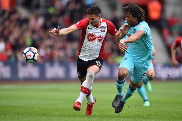 导致末节体 导致末节体